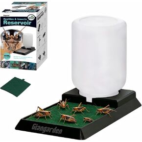 500ml Cricket Reptiles Water Feeder Reservoir Keeper, 2-in-1 Automatic Water Dispenser with Unique Sponge Pad Design for Geckos, Lizards, Bearded Dragons, Turtles in Saudi Arabia