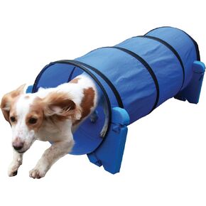 Rosewood Pet Agility Slalom Dog Play Activity in Kuwait