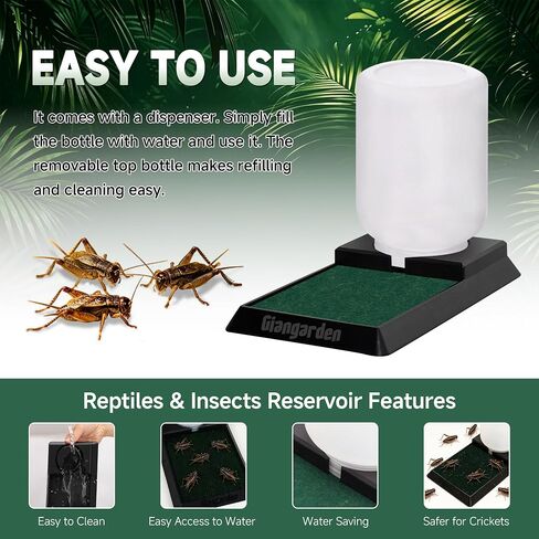 500ml Cricket Reptiles Water Feeder Reservoir Keeper, 2-in-1 Automatic Water Dispenser with Unique Sponge Pad Design for Geckos, Lizards, Bearded Dragons, Turtles in Saudi Arabia