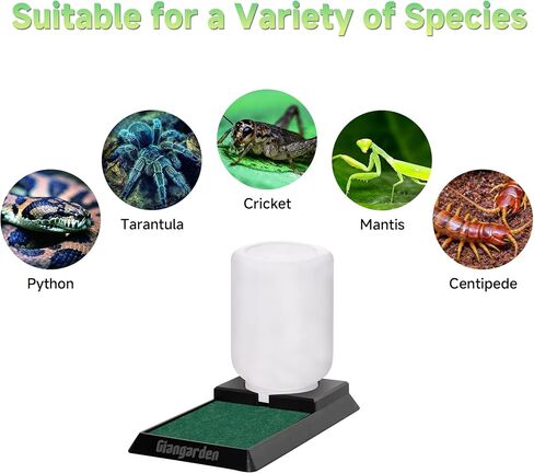 500ml Cricket Reptiles Water Feeder Reservoir Keeper, 2-in-1 Automatic Water Dispenser with Unique Sponge Pad Design for Geckos, Lizards, Bearded Dragons, Turtles in Saudi Arabia