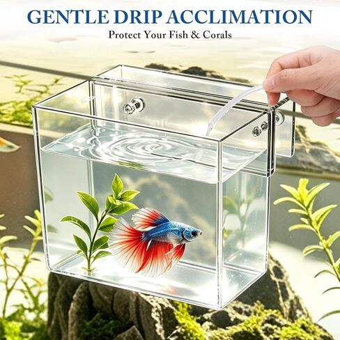Split Hanging Drip Acclimation Container for Fish, Corals & Shrimp in Saudi Arabia