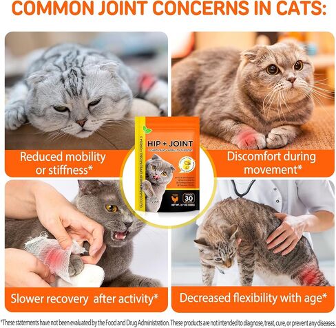 Hip & Joint Bites for Cats - Cat Joint Supplement,Chicken Flavored Glucosamine Joint Supplement for Cats - Cat Joint Supplement for HIPS & Joints, Cat Arthritis Pain Relief, with Green Lipped Mussel in Saudi Arabia