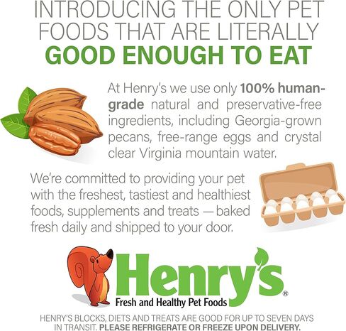Henry's Healthy Blocks Food for Squirrels, Flyers, Rats and Mice in Kuwait