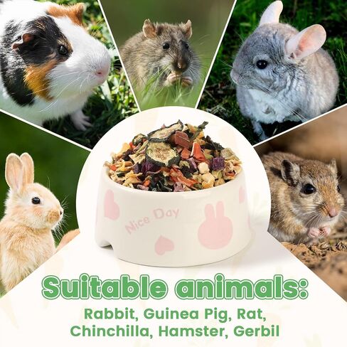 Abizoo Small Animal Treats Dried Vegetable & Fruit Bunny Treats Mix in Kuwait