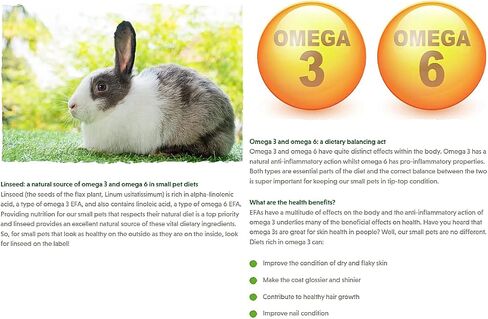 Selective Naturals Garden Sticks Pea & Mint For Rabbits 2.1-Ounce in Kuwait