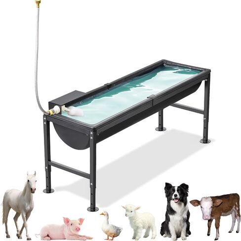 Automatic Livestock Water Trough 11 Gallon in Saudi Arabia