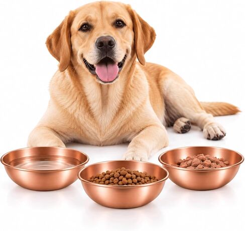 8.66 Inch Large Round Hand Forged Pure Solid Copper Pet Bowl, Heavy Duty Dog Copper Bowl for Food & Water, Premium Feeding Copper Bowl for Dogs Cats & All Household Pets (1) in Saudi Arabia
