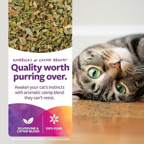 SmartyKat Catnip & Silvervine Cat Attractant, Stimulating Positive Training Aid in a Resealable Shaker Canister, 2 Ounces (Pack of 2) in Saudi Arabia