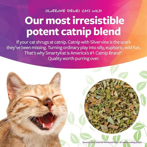 SmartyKat Catnip & Silvervine Cat Attractant, Stimulating Positive Training Aid in a Resealable Shaker Canister, 2 Ounces (Pack of 2) in Saudi Arabia
