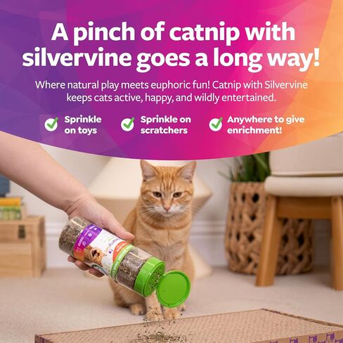 SmartyKat Catnip & Silvervine Cat Attractant, Stimulating Positive Training Aid in a Resealable Shaker Canister, 2 Ounces (Pack of 2) in Saudi Arabia
