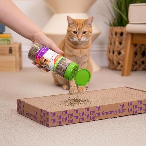 SmartyKat Catnip & Silvervine Cat Attractant, Stimulating Positive Training Aid in a Resealable Shaker Canister, 2 Ounces (Pack of 2) in Saudi Arabia