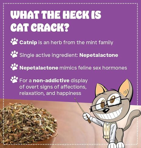 Cat Crack Catnip 1 Cup Bundled with Organic Catnip 1 Cup, Premium Blend Safe for Cats, Infused with Maximum Potency Your Kitty is Sure to Go Crazy in Kuwait