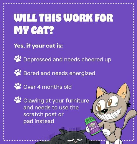 Cat Crack Catnip 1 Cup Bundled with Organic Catnip 1 Cup, Premium Blend Safe for Cats, Infused with Maximum Potency Your Kitty is Sure to Go Crazy in Kuwait