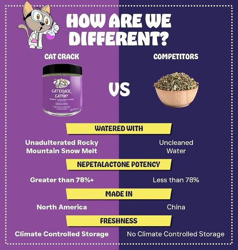 Cat Crack Catnip 1 Cup Bundled with Organic Catnip 1 Cup, Premium Blend Safe for Cats, Infused with Maximum Potency Your Kitty is Sure to Go Crazy in Kuwait