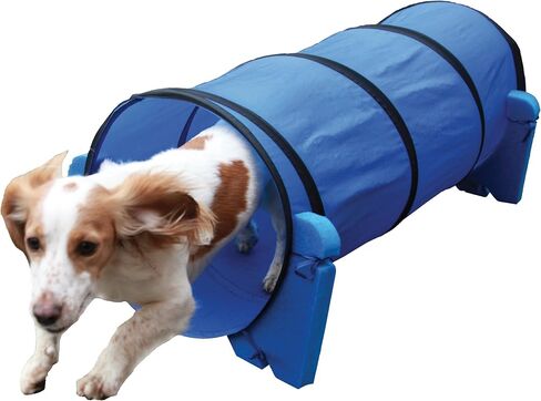 Rosewood Pet Agility Slalom Dog Play Activity in Kuwait