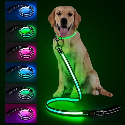 4 Ft LED Dog Leash, Light Up & Lighted Dog Leash, 7 Lighting Modes, Glow in The Dark, Reflective, Double-Sided Light, Rechargeable with Padded Handle for Night Walking Safety, Small to Large Pets in Saudi Arabia