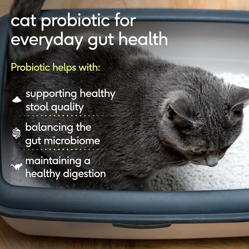 Native Pet Probiotic for Cats - Chicken Flavored Cat Digestive Support in Kuwait