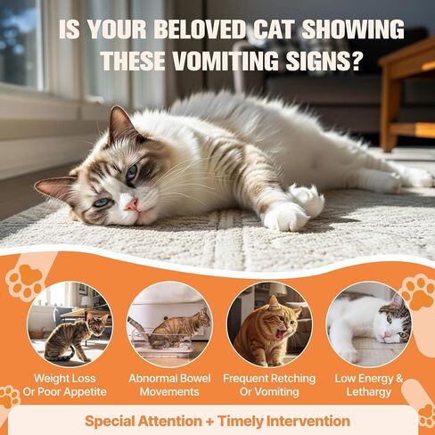 Cat Vomit Remedy & Vomiting Relief for Cats, Cat Digestive Support with Probiotics & Herbs for Sensitive Stomachs, Helps Calm Vomiting & Nausea from Hairballs, Indigestion, Diet Changes or Mild Stress in Kuwait