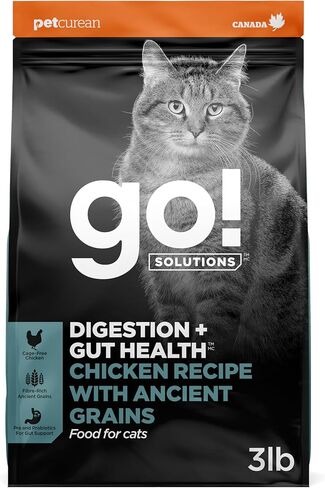 Go! Solutions Digestion + Gut Health Salmon Dry Cat Food, 3 lb in Saudi Arabia