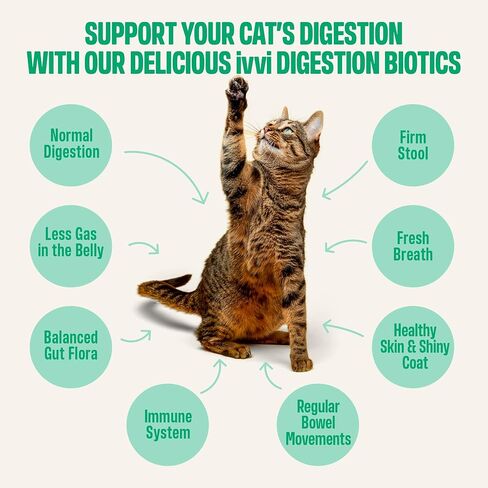 ivvi Digestion Biotics for Cats, Creamy Lickable Cat Treats with Real Tuna, Pumpkin, Flaxseed & Prebiotic FOS, Daily Digestive Support, Heat-Treated Probiotic Components, 30 Pouches, 15g Each in Kuwait