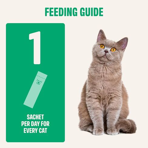 ivvi Digestion Biotics for Cats, Creamy Lickable Cat Treats with Real Tuna, Pumpkin, Flaxseed & Prebiotic FOS, Daily Digestive Support, Heat-Treated Probiotic Components, 30 Pouches, 15g Each in Kuwait