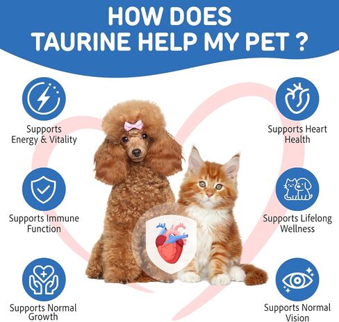 Taurine for Cats & Dogs - High Purity Taurine Powder for All Life Stages - 200 Servings - Unscented - Supports Heart & Vision - 7.05 oz (200g) in Kuwait
