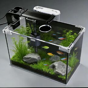 2.5 Gallon Betta Fish Tank with Filter Light and Lid in Kuwait