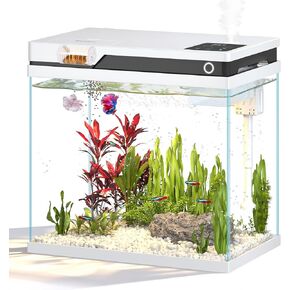 Fish Tank, Smart Fish Aquarium Kit 7 Gallon in Saudi Arabia
