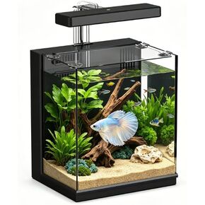 AQUASMITH Betta Fish Tank, 2 Gallon Aquarium Kit in Saudi Arabia