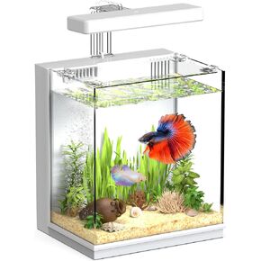 AQUASMITH Beta Fish Tank, 2 Gallon Betta Fish Aquariums with Filter & Light, for Men, Fish Tanks for Kids & Starter, Black in Saudi Arabia