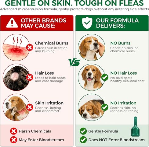 Flea and Tick for Medium Dogs 23-44 lbs, 6 Topical Doses in Kuwait