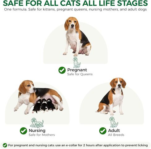 Flea and Tick for Medium Dogs 23-44 lbs, 6 Topical Doses in Kuwait
