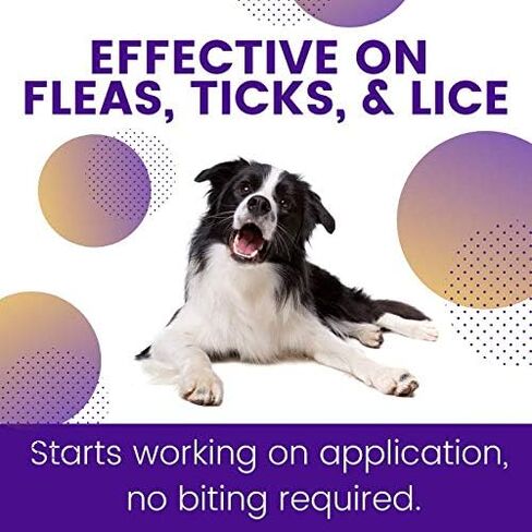 ZoGuard Plus Flea and Tick Prevention for Dogs (Medium - 23-44 lb) in Kuwait