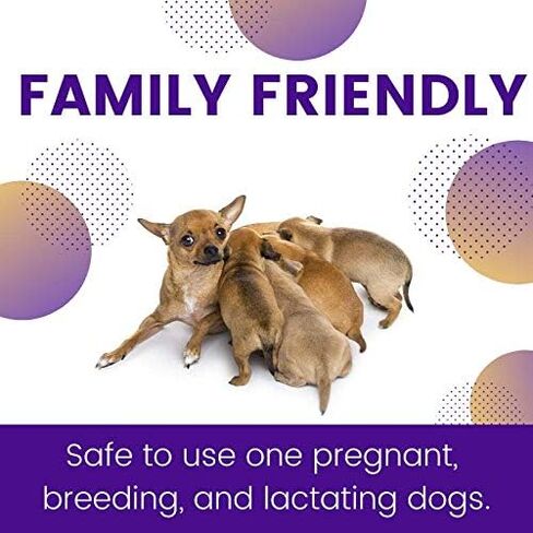 ZoGuard Plus Flea and Tick Prevention for Dogs (Medium - 23-44 lb) in Kuwait