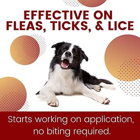 ZoGuard Plus Flea and Tick Prevention for Dogs (Large - 45-88 lb) in Kuwait
