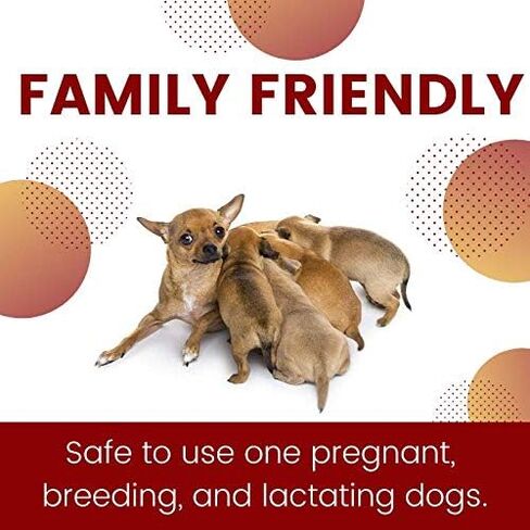 ZoGuard Plus Flea and Tick Prevention for Dogs (Large - 45-88 lb) in Kuwait