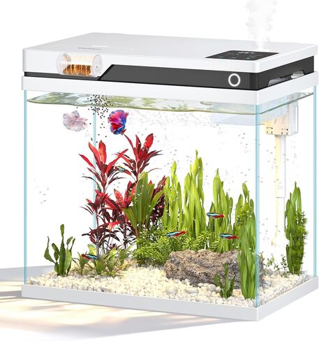 Fish Tank, Smart Fish Aquarium Kit 7 Gallon in Saudi Arabia