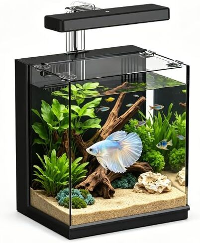 AQUASMITH Betta Fish Tank, 2 Gallon Aquarium Kit in Saudi Arabia