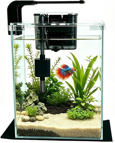 2 Gallon Betta Fish Tank with Filter and Light in Kuwait