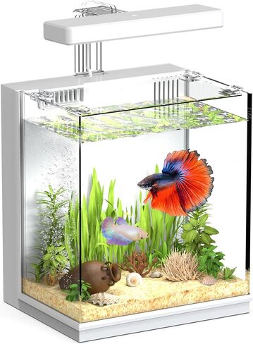 AQUASMITH Beta Fish Tank, 2 Gallon Betta Fish Aquariums with Filter & Light, for Men, Fish Tanks for Kids & Starter, Black in Saudi Arabia