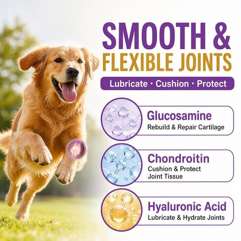 Glucosamine Joint Supplement for Dogs, Dog Joint Support with MSM - 180 ct in Kuwait