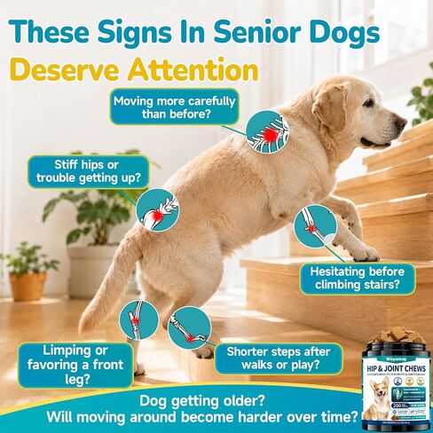 Woyamay Joint Supplement for Dogs, Glucosamine for Dogs,200 Soft Chews in Saudi Arabia