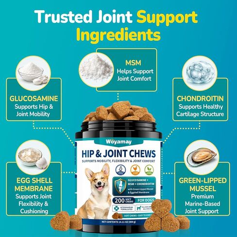 Woyamay Joint Supplement for Dogs, Glucosamine for Dogs,200 Soft Chews in Saudi Arabia