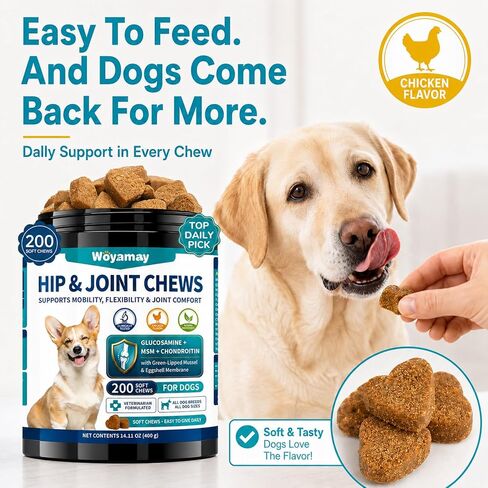 Woyamay Joint Supplement for Dogs, Glucosamine for Dogs,200 Soft Chews in Saudi Arabia