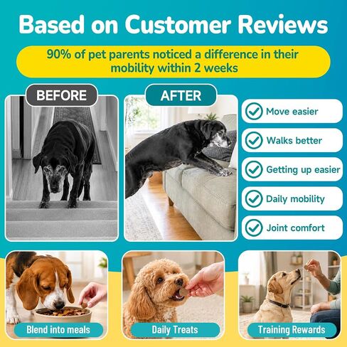 Woyamay Joint Supplement for Dogs, Glucosamine for Dogs,200 Soft Chews in Saudi Arabia