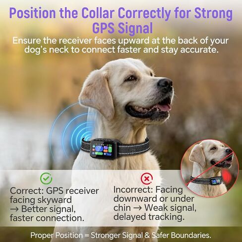 GPS Wireless Dog Fence – APP Controlled & Remote Training Collar, No Subscription Fee, Adjustable 25–1000m Boundary, Waterproof,Long Battery Life, for Dogs 10–120 lbs in Kuwait
