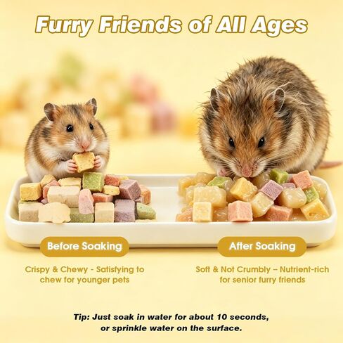 Abizoo Hamster & Rat Healthy Treats, Crispy Snacks Fruit and Vegetable Mix for Dwarf Hamsters, Golden Syrian Hamsters, Gerbils, Rats, Mice, Vitamins Supplement Supports Bones and Immune Health in Kuwait