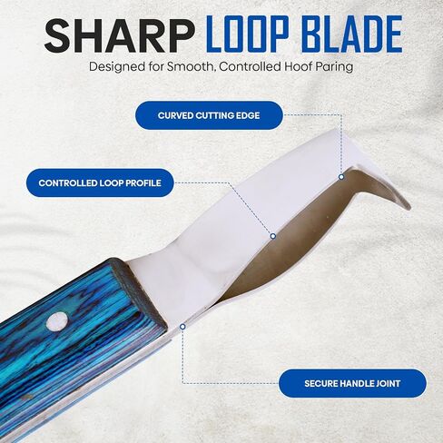 Equine Care Loop Hoof Knife with Hoof Pick, J2 Stainless Steel, Either Hand in Saudi Arabia