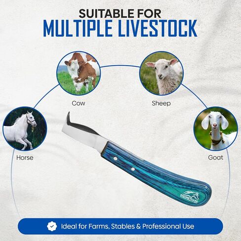 Equine Care Loop Hoof Knife with Hoof Pick, J2 Stainless Steel, Either Hand in Saudi Arabia
