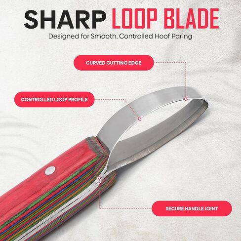 Equine Care Hoof Loop Knife, J2 Stainless Steel, Red Handle, Either Hand in Saudi Arabia